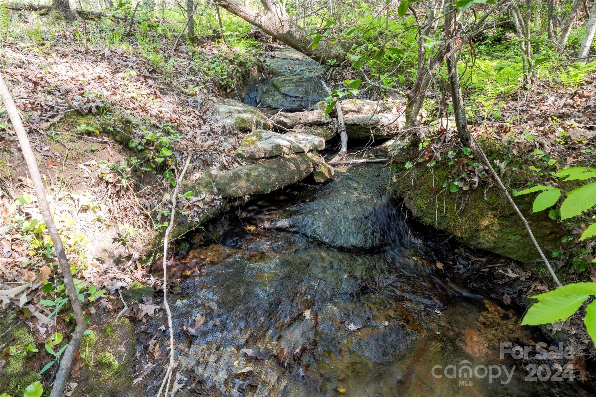 99999 Shady Bark Lane, Unit 41 Rutherfordton, NC 28139 - Photo 5 of 32
