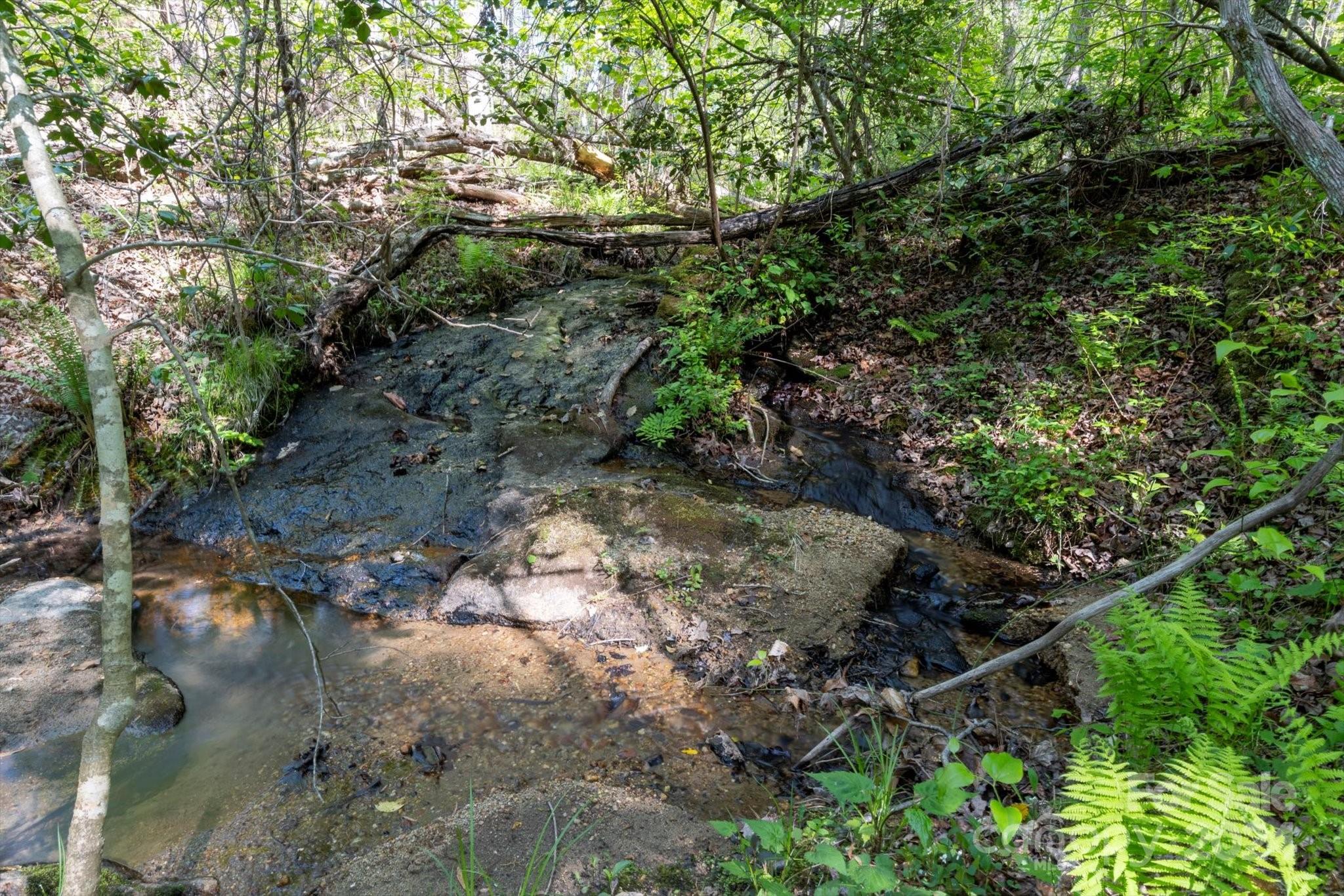 99999 Shady Bark Lane, Unit 41 Rutherfordton, NC 28139 - Photo 6 of 32