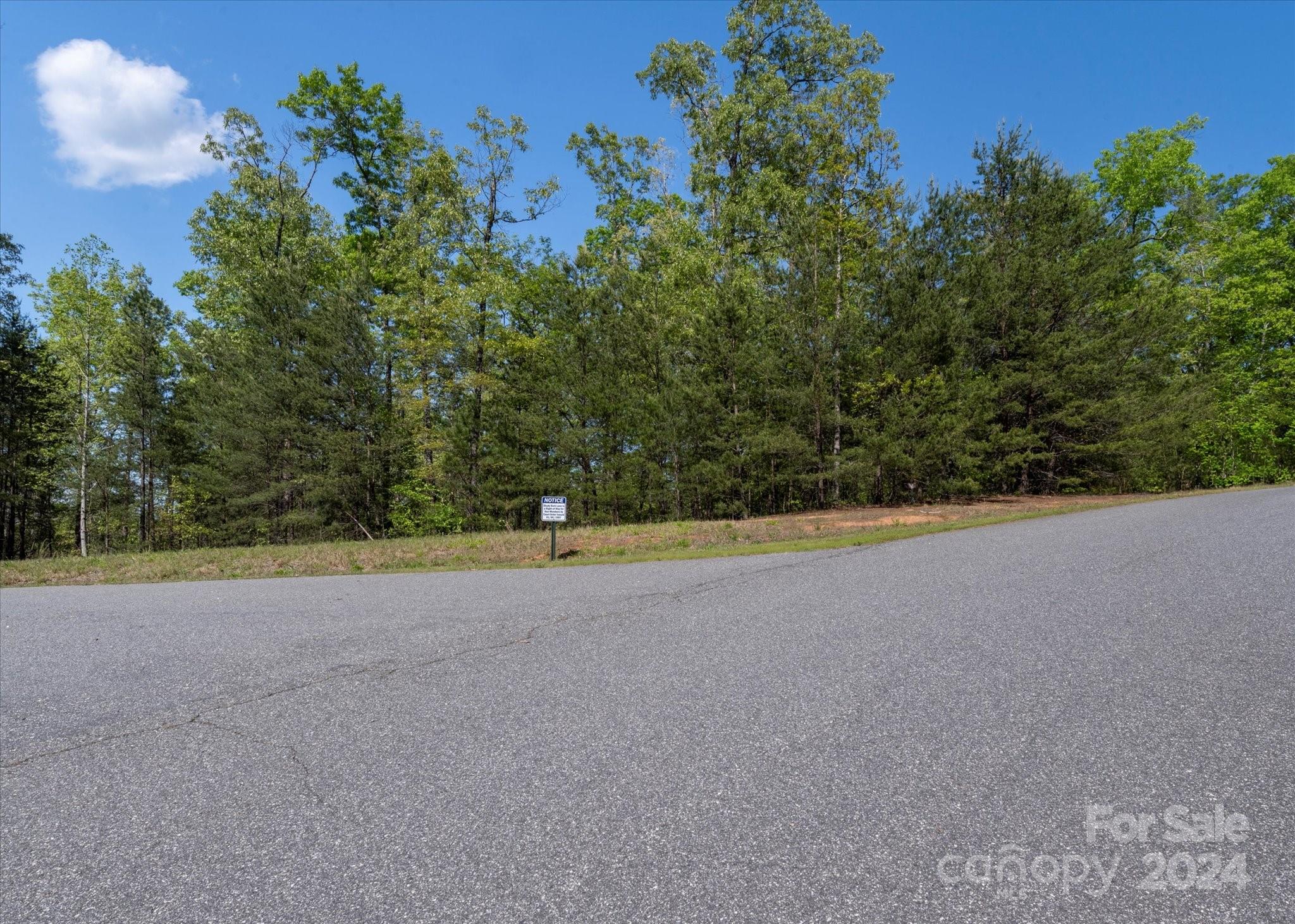 99999 Shady Bark Lane, Unit 41 Rutherfordton, NC 28139 - Photo 8 of 32