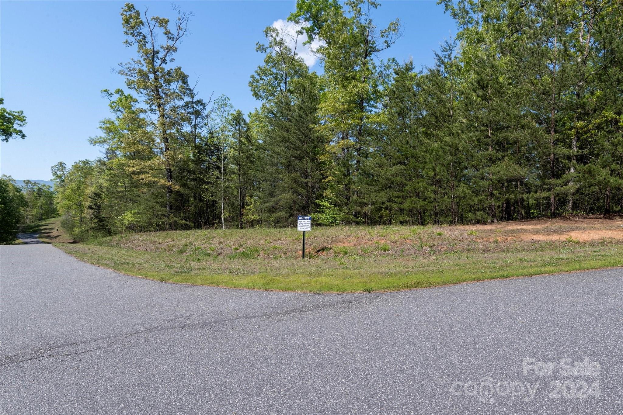 99999 Shady Bark Lane, Unit 41 Rutherfordton, NC 28139 - Photo 9 of 32