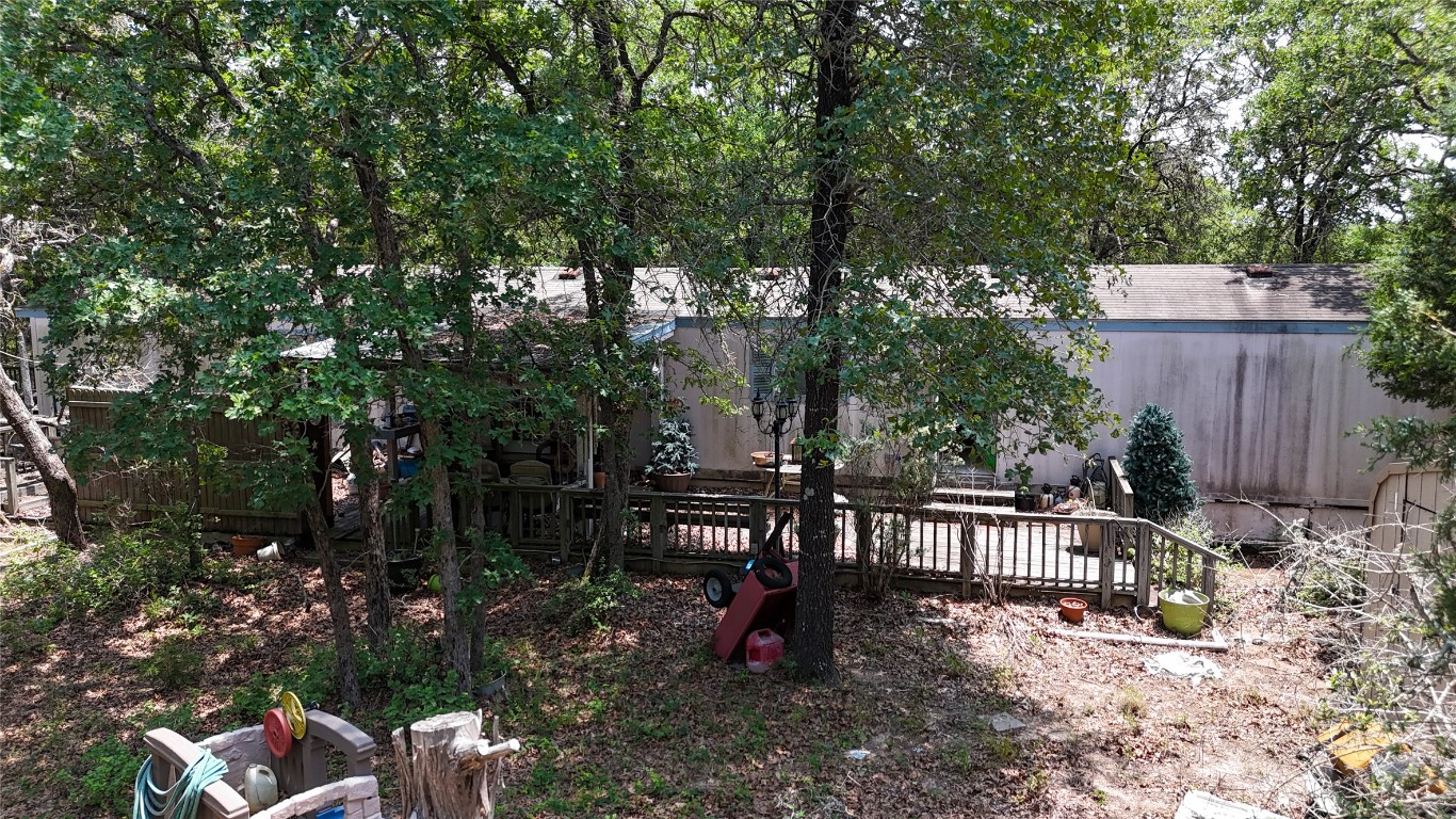 a view of a park with plants and trees