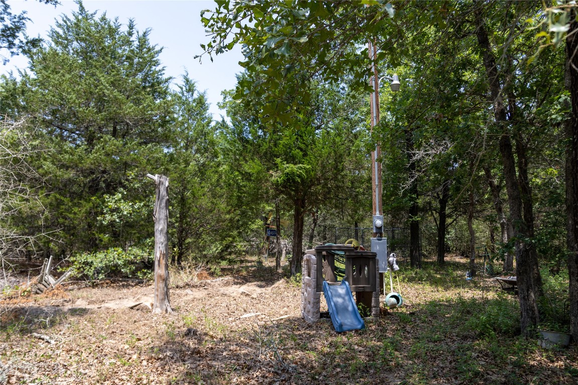 642 Hidden Oaks Drive Elgin, TX 78621 - Photo 12 of 36 a view of a tree in the middle of a yard