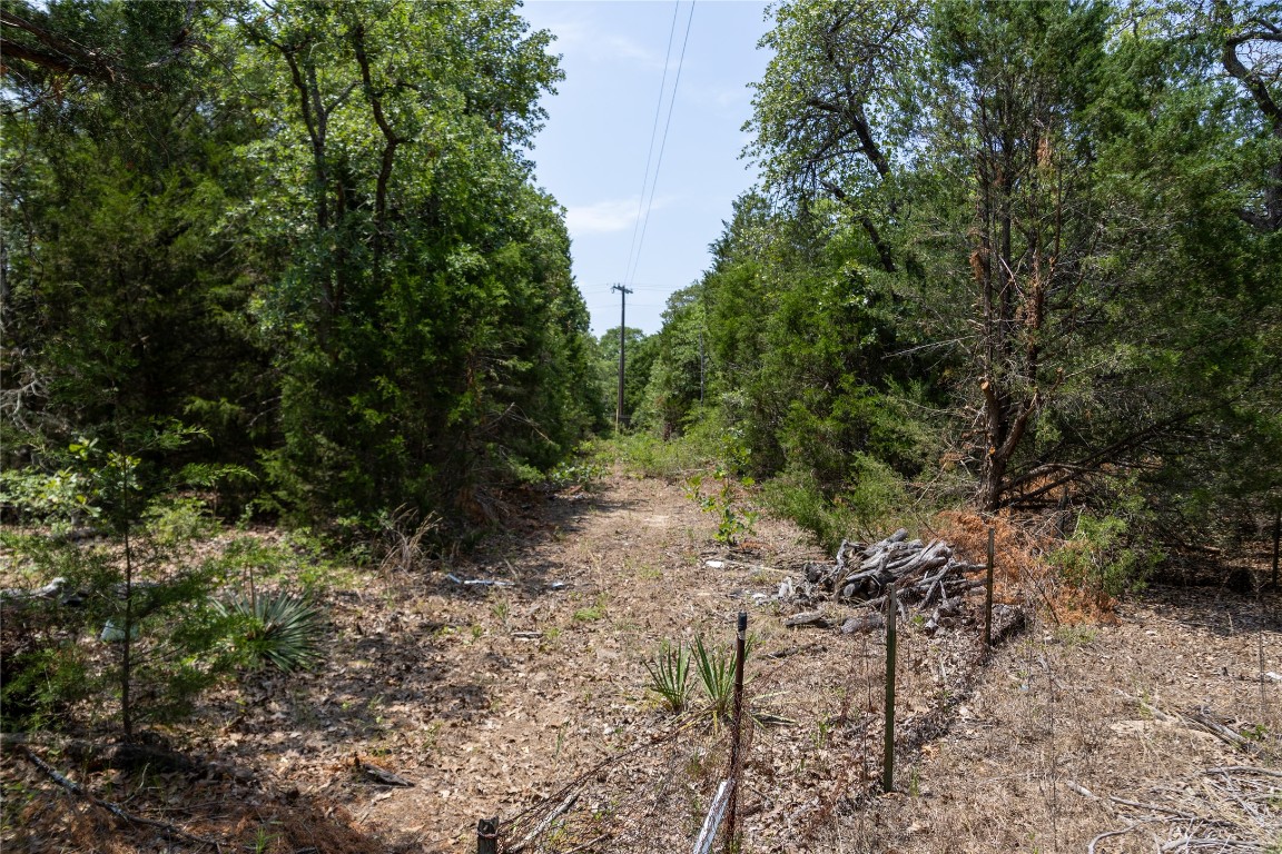 642 Hidden Oaks Drive Elgin, TX 78621 - Photo 18 of 36 a big yard with lots of green space