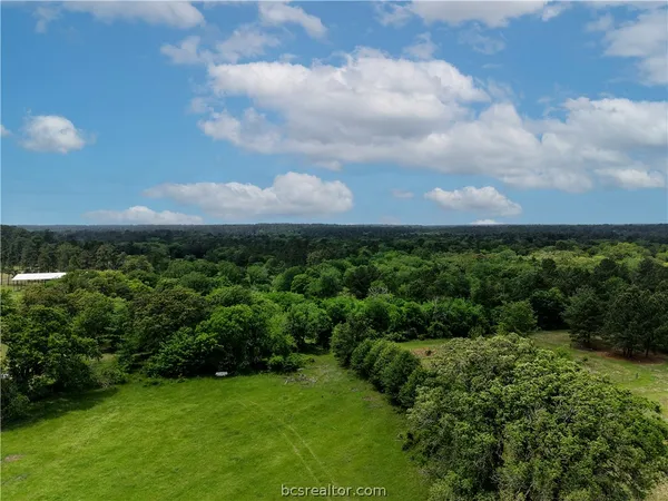 a view of a city with lush green forest