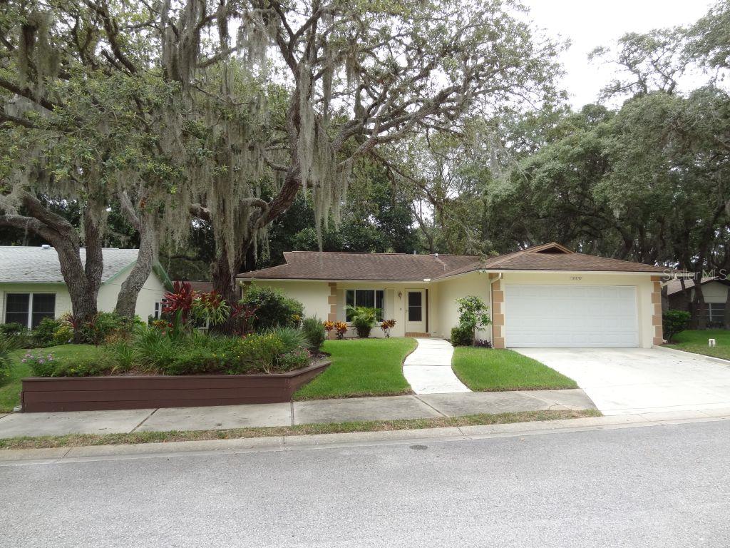 10631 Timber Lane Port Richey, FL 34668 - Photo 1 of 1 Gallery Image 1