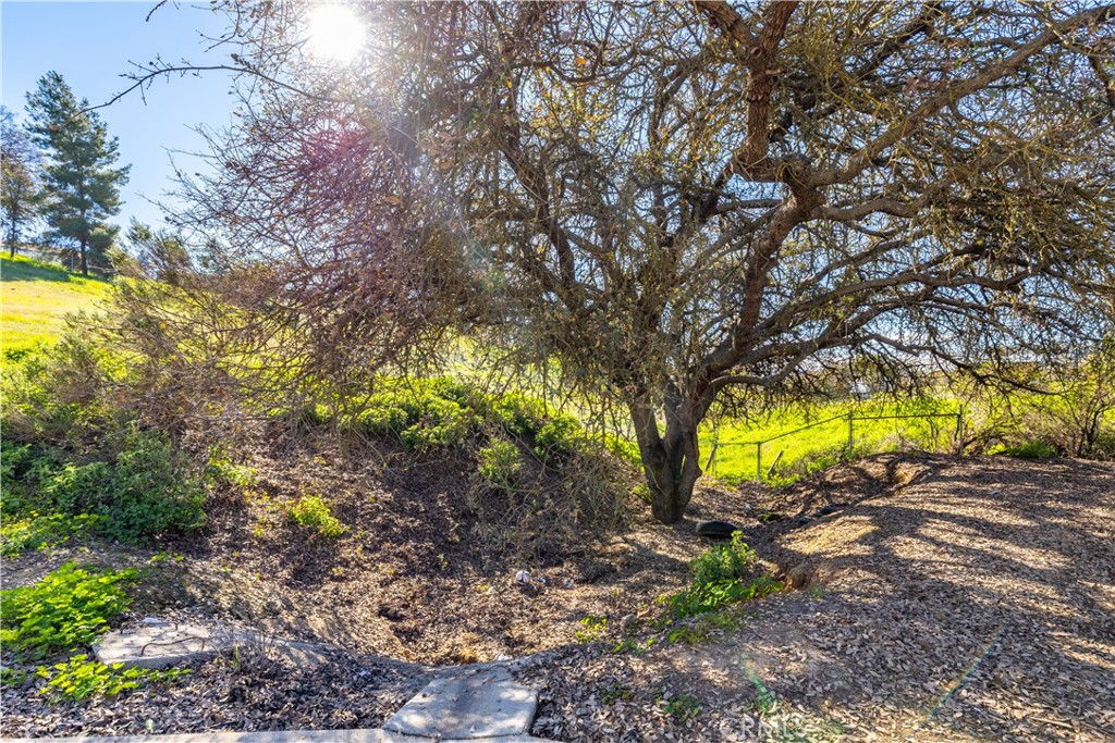 7260 Shale Rock Road Paso Robles, CA 93446 - Photo 36 of 42