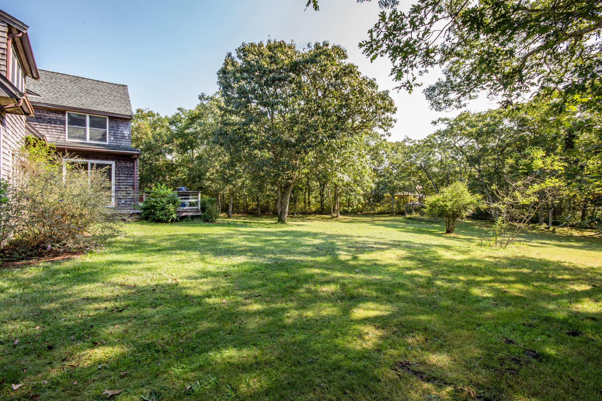 321 Chappaquiddick Road Edgartown, MA 02539 - Photo 32 of 35 a view of outdoor space with garden and trees
