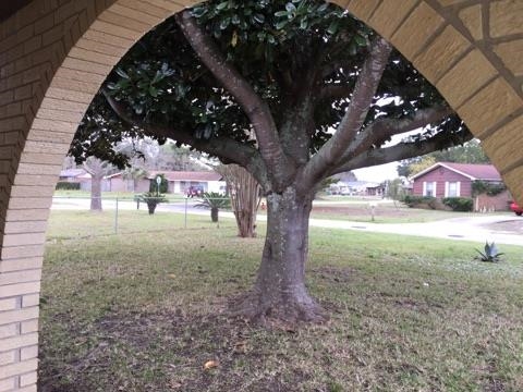 3182 Clemson Road Gulf Breeze, FL 32563 - Photo 2 of 11 Gallery Image 2