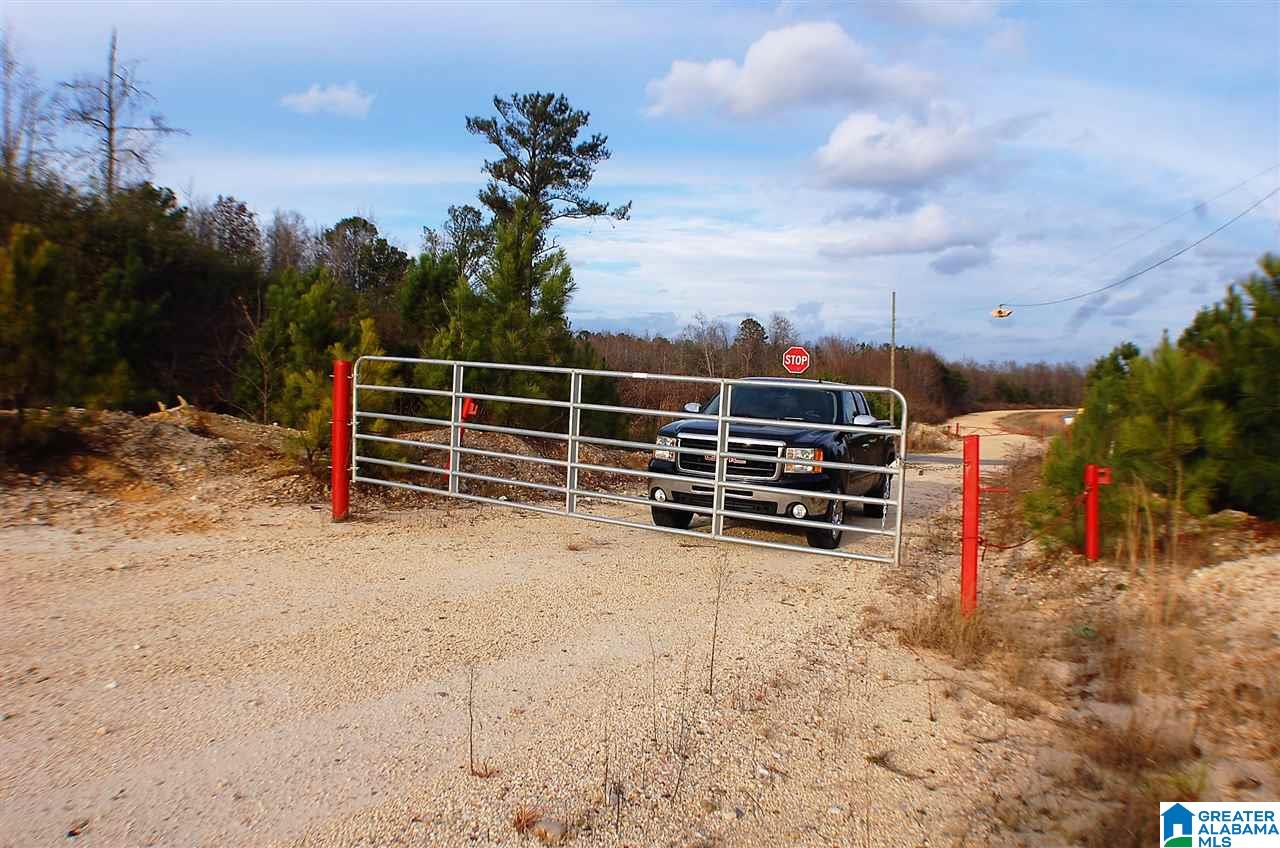 0 County Road 25, Unit 1 Jemison, AL 35085 - Photo 17 of 19