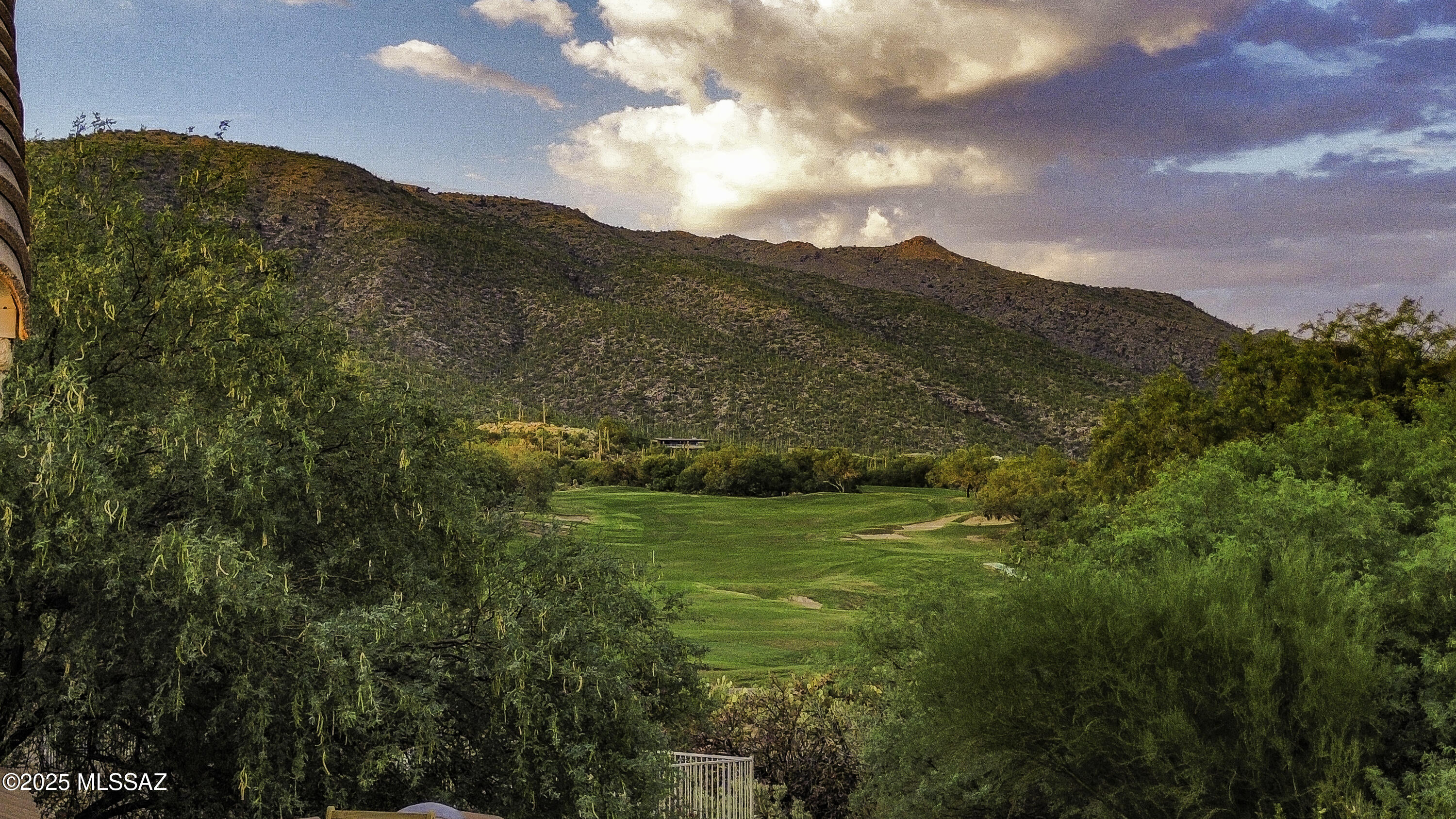 5202 Spring View Drive Tucson, AZ 85749 - Photo 38 of 49 a view of a large trees with mountains in the background