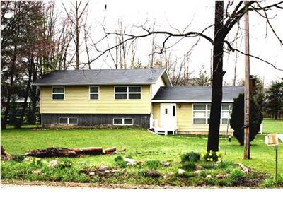 7218 Centerline Road Saranac, MI 48881 - Photo 2 of 6 Additional Photo