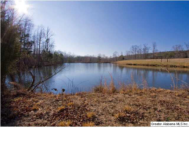 905 Smith Road Oneonta, AL 35121 - Photo 22 of 30
