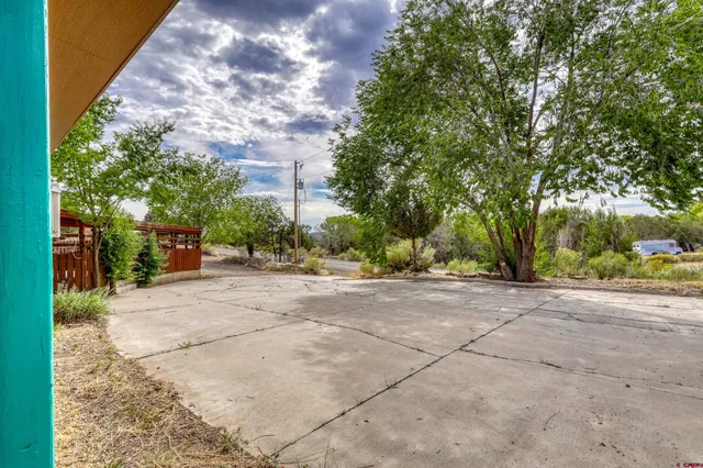 a view of a yard with plants and trees