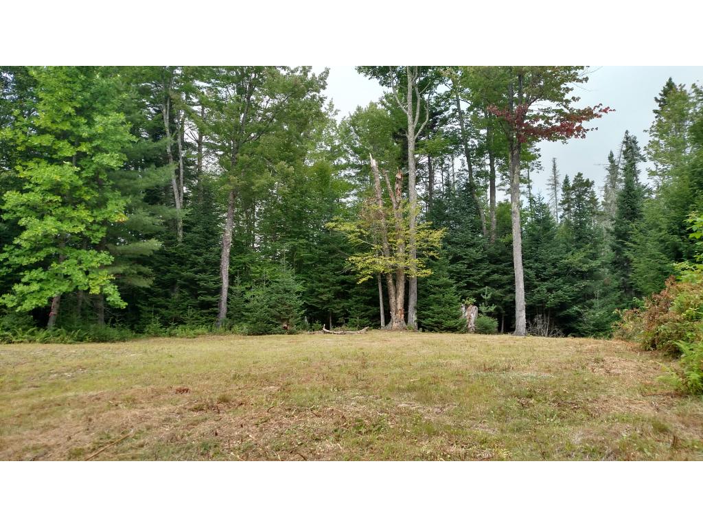 550 Lang Road Bath, NH 03740 - Photo 7 of 11