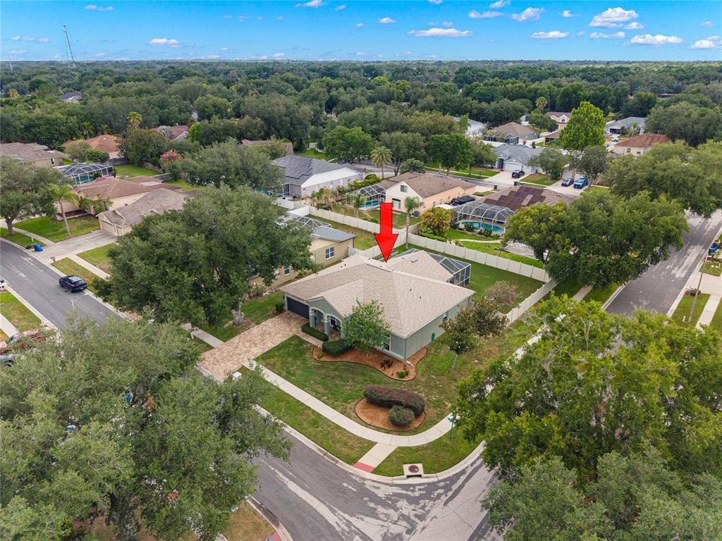 4038 Lithia Ridge Boulevard Valrico, FL 33596 - Photo 33 of 47