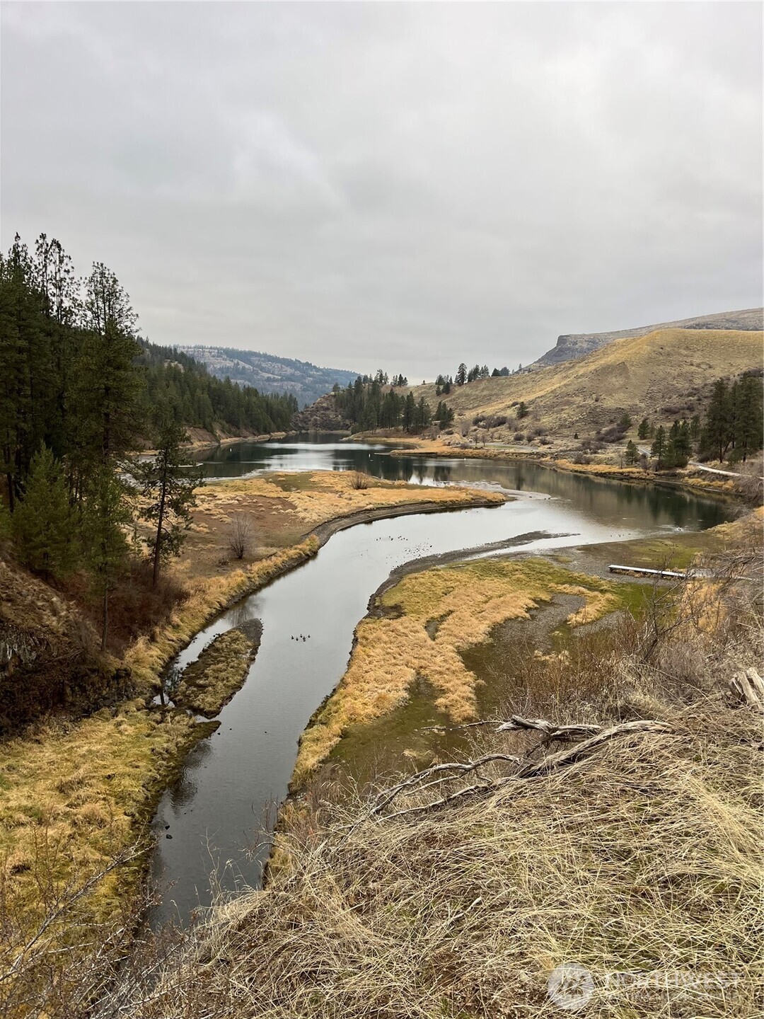 0 Miles Creston Road North, Unit LOT 5 Davenport, WA 99122 - Photo 12 of 14 a view of an ocean