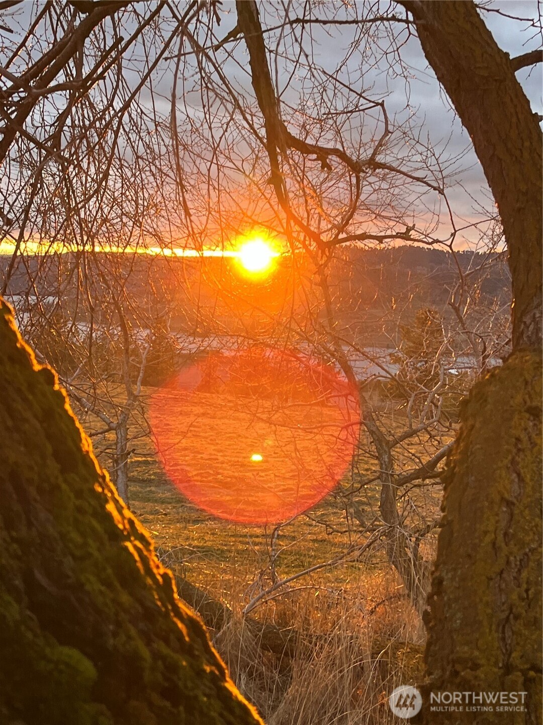 0 Miles Creston Road North, Unit LOT 5 Davenport, WA 99122 - Photo 14 of 14 a view of an outdoor space