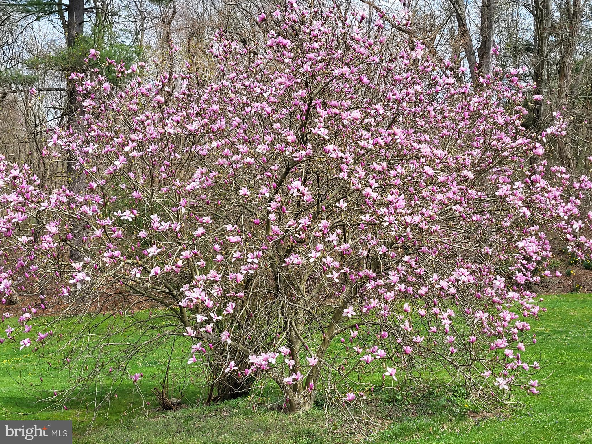 4545 Gross Mill Road Hampstead, MD 21074 - Photo 101 of 112