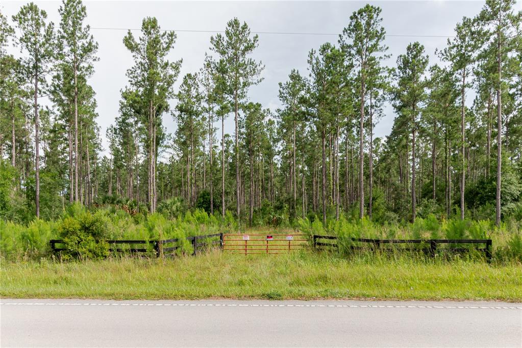 Northeast 90th Street Road Fort McCoy, FL 32134 - Photo 14 of 25