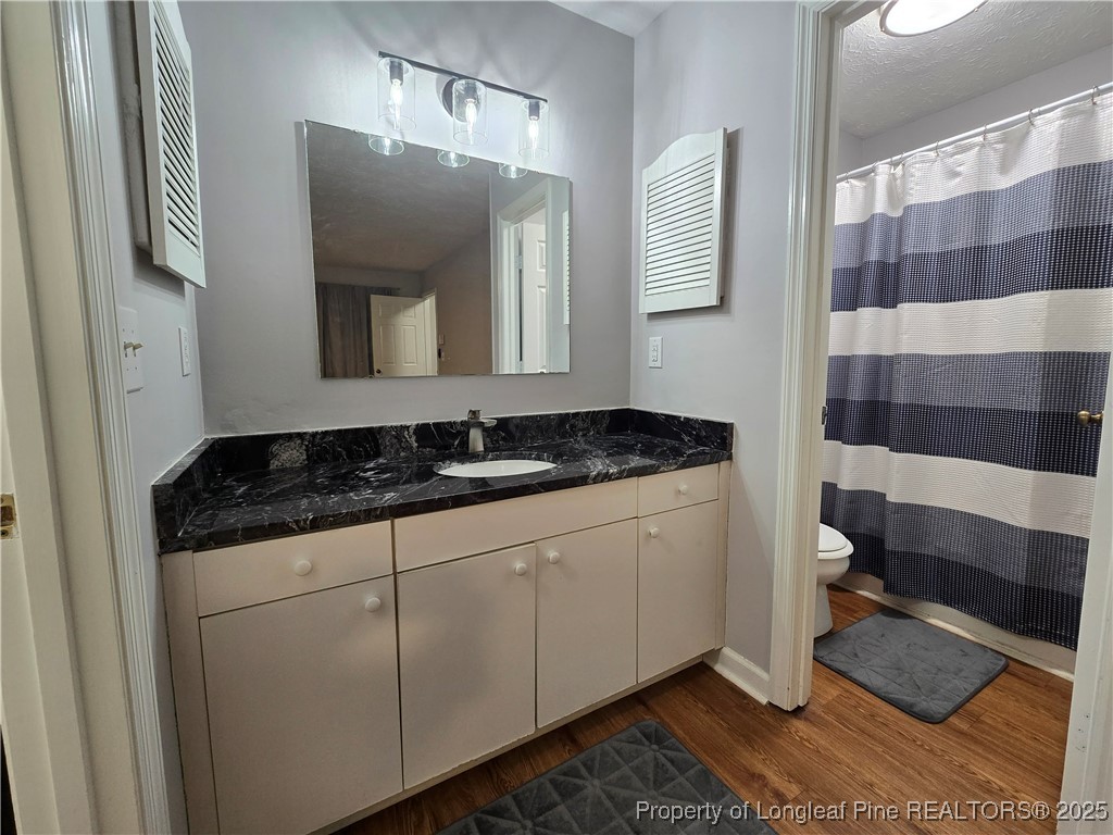 944 Flintwood Road Fayetteville, NC 28314 - Photo 21 of 24 a bathroom with a sink a toilet and a mirror