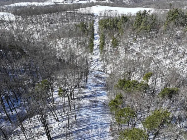 $1 | 0 Tract 3 Bondi Ridge Road, Woodsfield, OH 43793