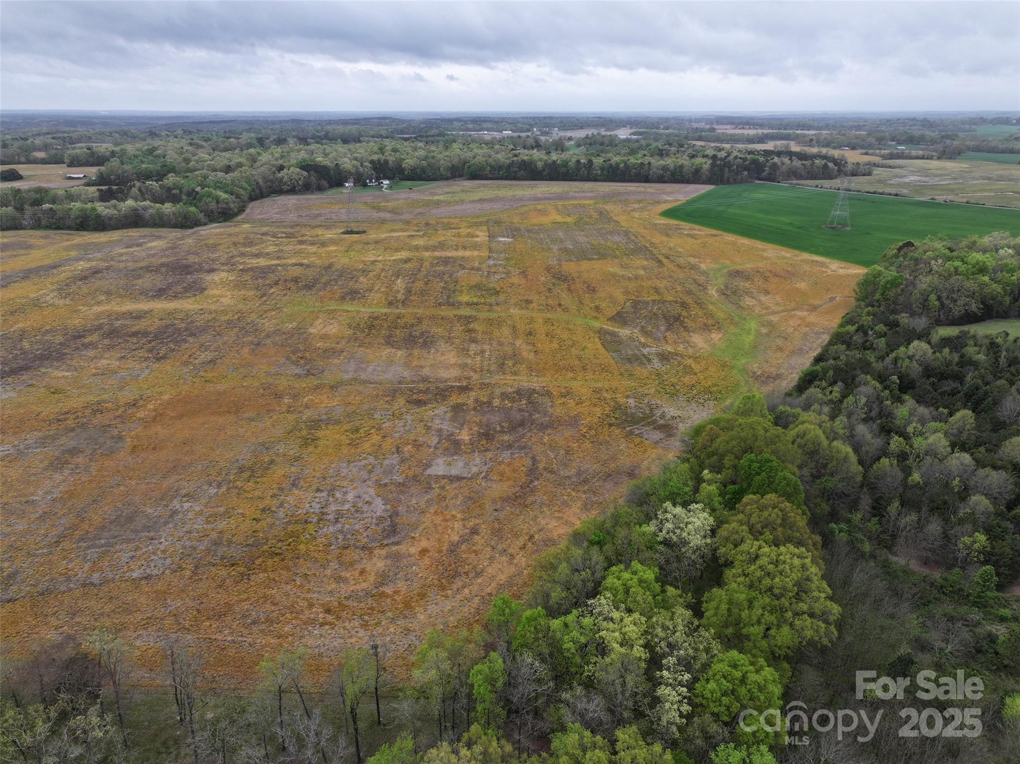 0 Jesse Rushing Road Marshville, NC 28103 - Photo 3 of 4 a view of a lake with a yard