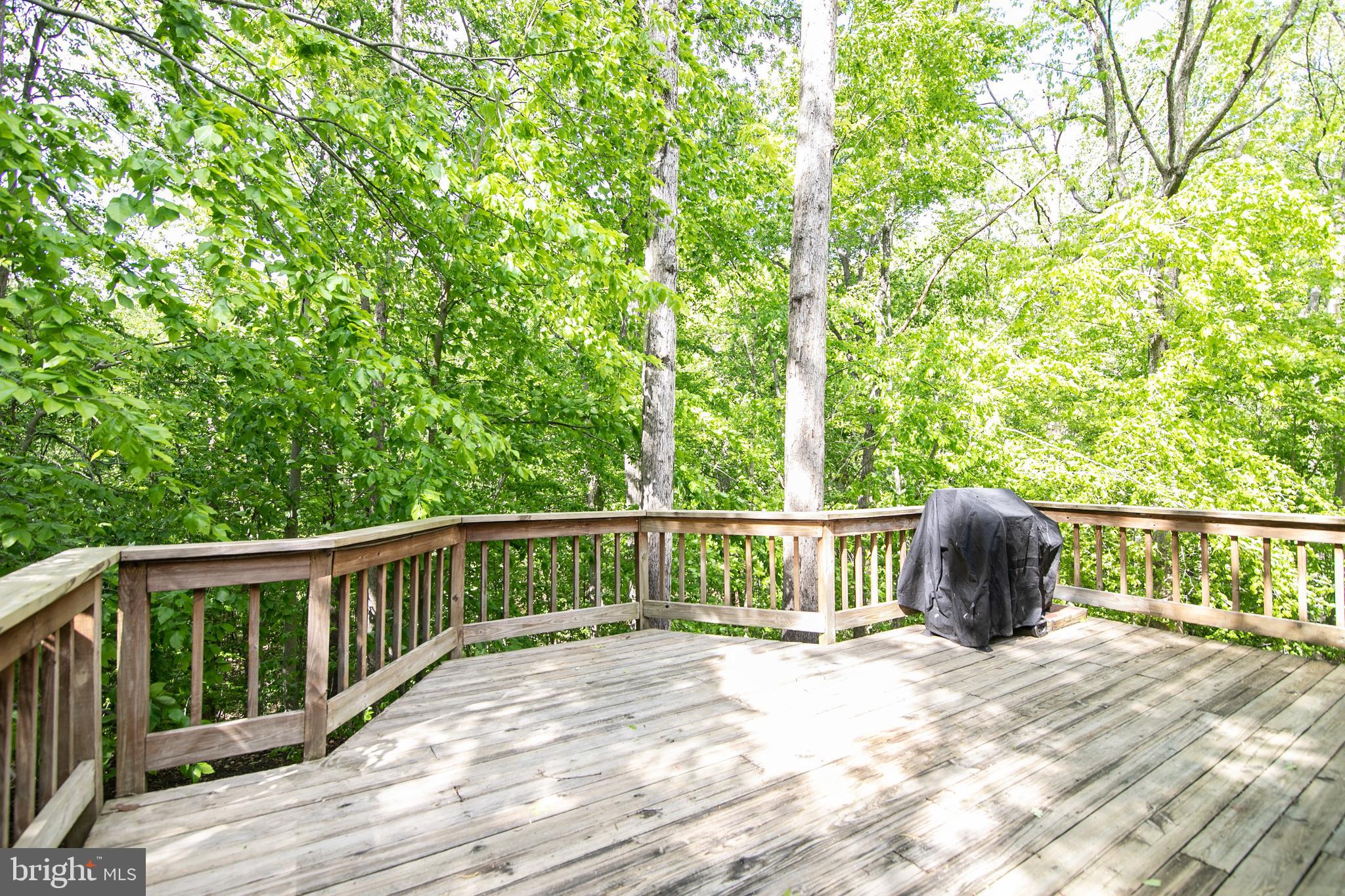 4648 Timber Ridge Drive Dumfries, VA 22025 - Photo 8 of 97