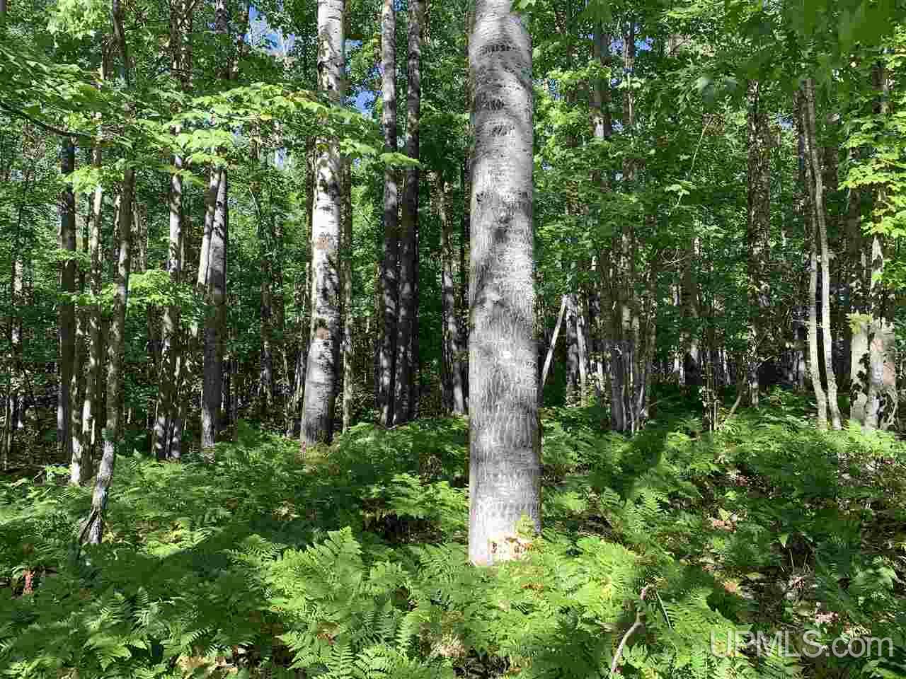 6 Indian Cemetery Road Lanse, MI 49946 - Photo 9 of 16