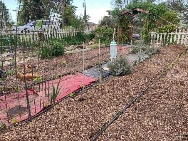 $330,000 | 4343 North 1200 East, Buhl, ID 83316