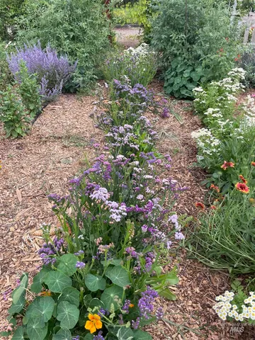 $330,000 | 4343 North 1200 East, Buhl, ID 83316