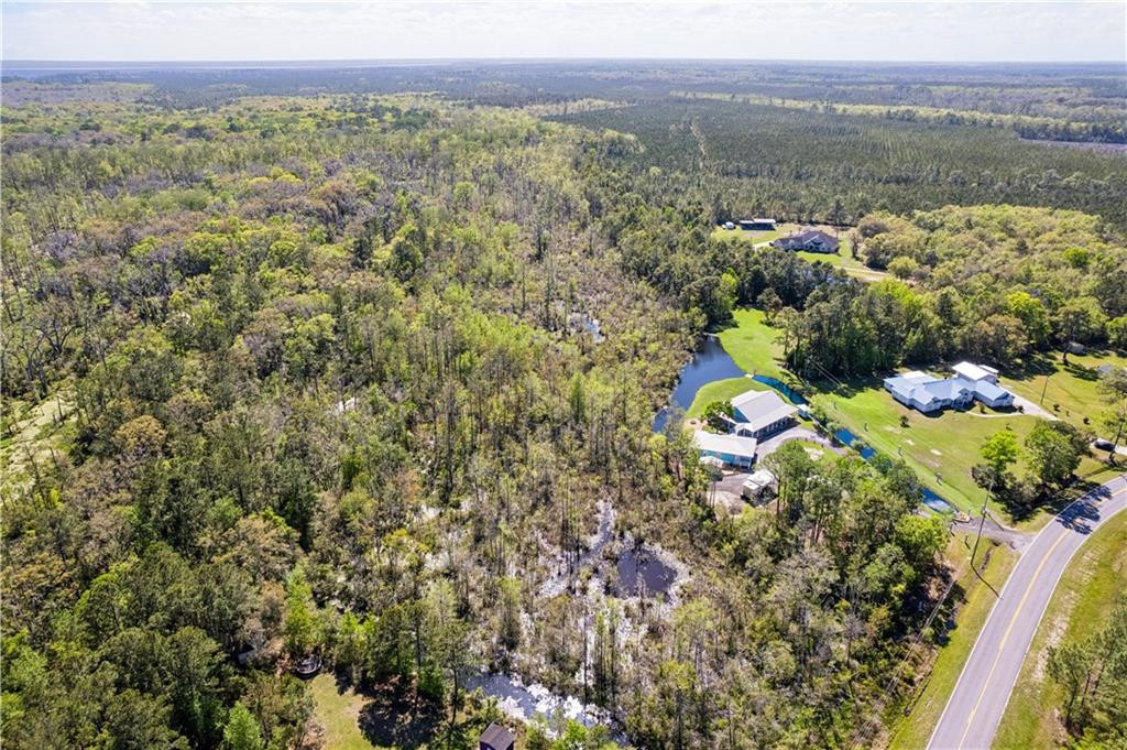 6370 Dover Bluff Road Waverly, GA 31565 - Photo 9 of 53 Photo 9