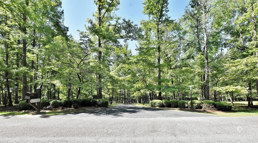 8000 Midland Road, Unit 2 Midland, GA 31820 - Photo 3 of 54 Driveway Entrance