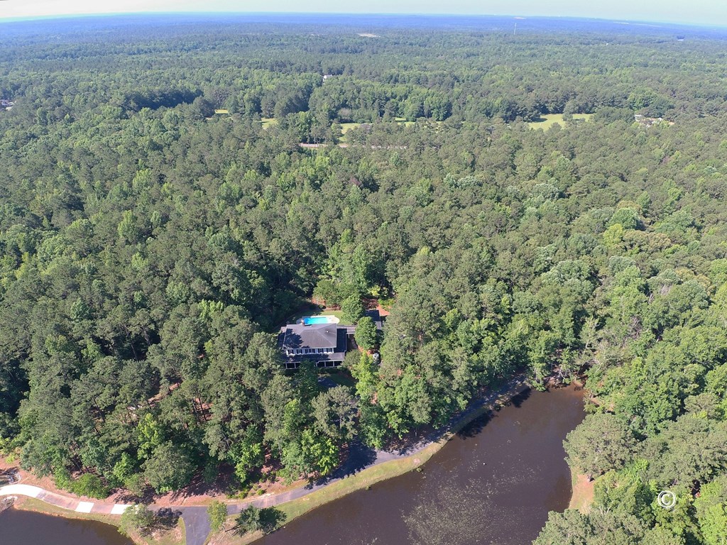 8000 Midland Road, Unit 2 Midland, GA 31820 - Photo 50 of 54 Ariel View of 2.5 Acre Pond, House, and Acreage
