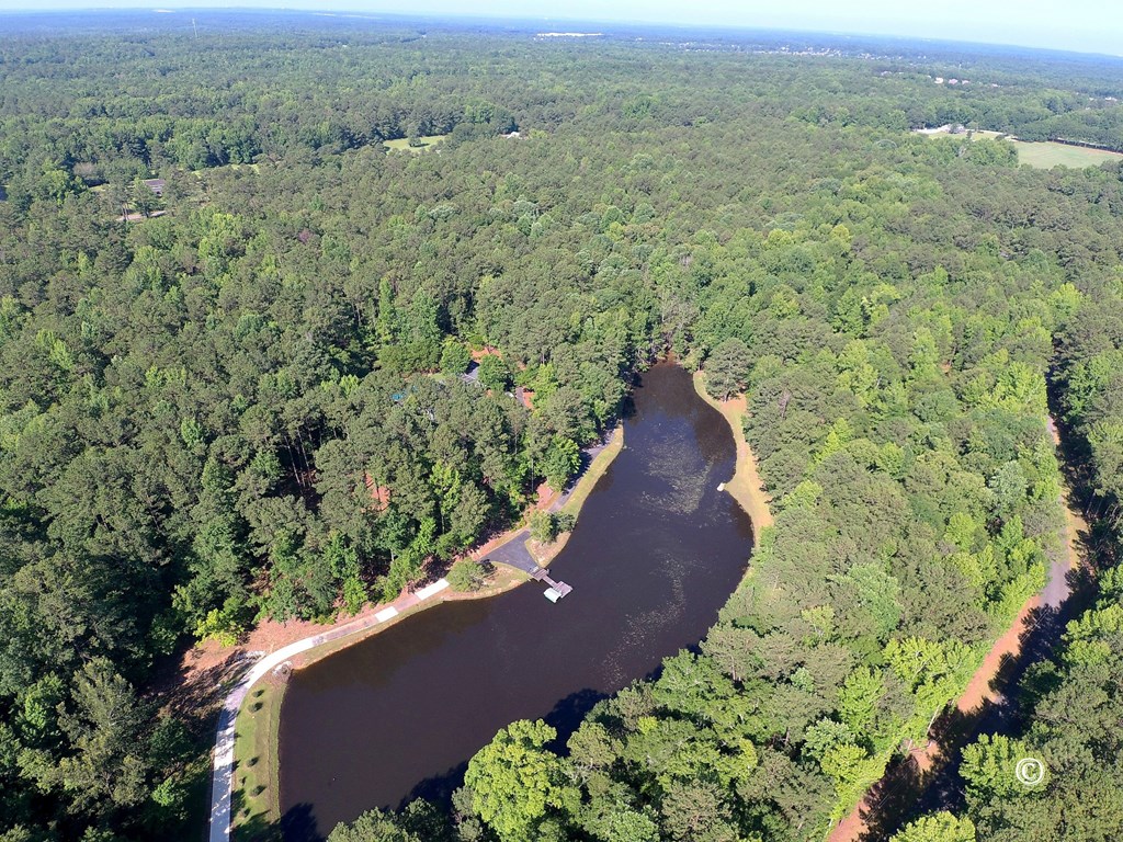 8000 Midland Road, Unit 2 Midland, GA 31820 - Photo 51 of 54 Ariel View of 2.5 Acre Pond