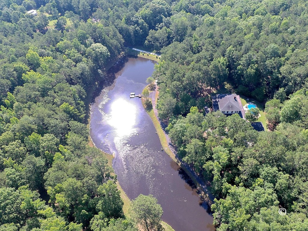 8000 Midland Road, Unit 2 Midland, GA 31820 - Photo 52 of 54 Ariel View of 2.5 Acre Pond, House, and Acreage