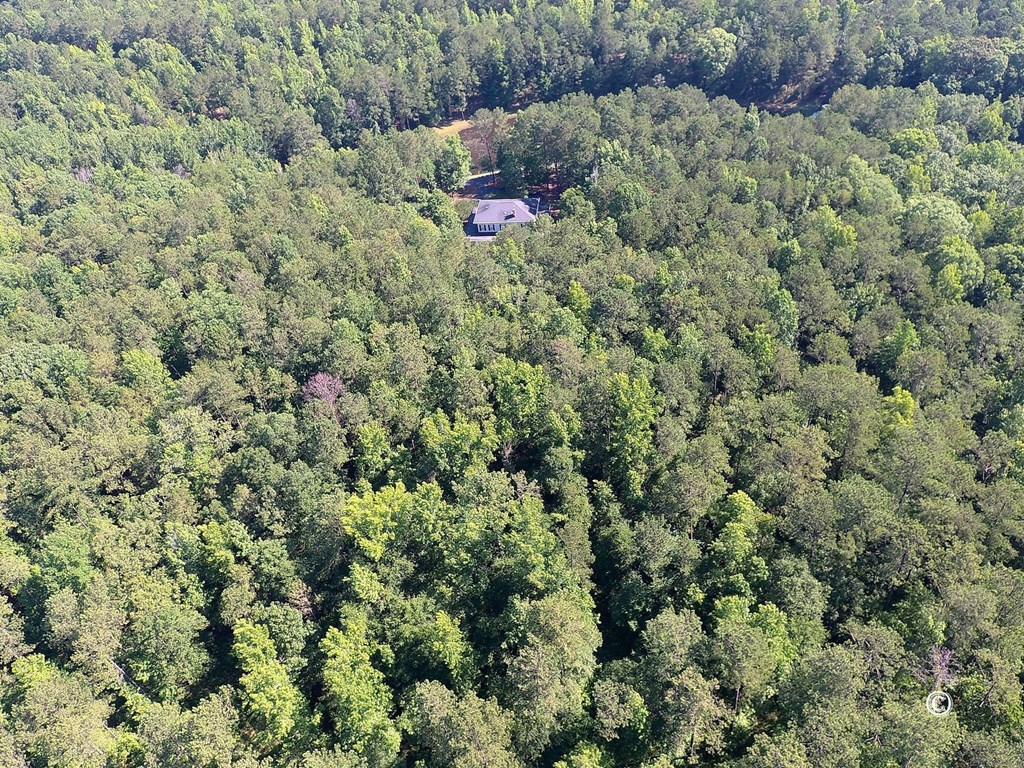 8000 Midland Road, Unit 2 Midland, GA 31820 - Photo 53 of 54 Ariel View of Property