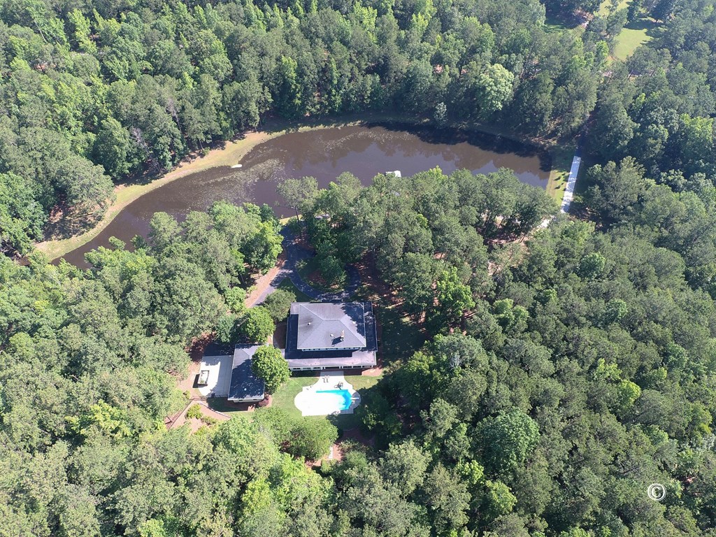 8000 Midland Road, Unit 2 Midland, GA 31820 - Photo 54 of 54 Ariel View of 2.5 Acre Pond, House, Pool, and Acre