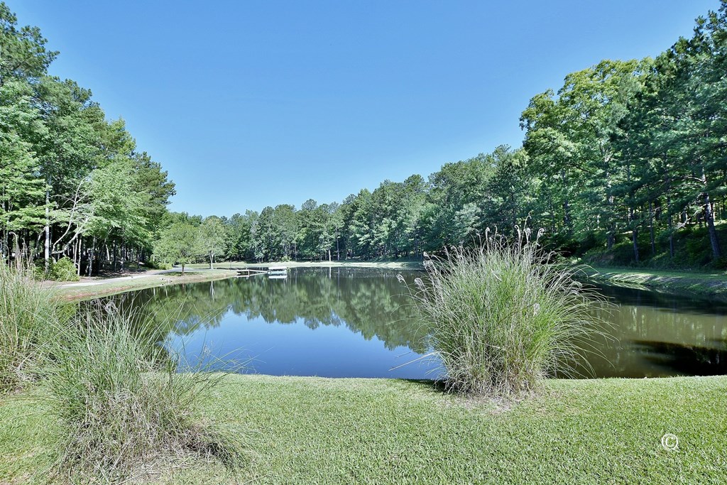 8000 Midland Road, Unit 2 Midland, GA 31820 - Photo 10 of 54 2.5 Acre Stocked Pond