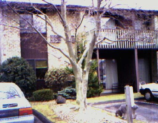 199 Gregory Boulevard, Unit F2 Norwalk, CT 06855 - Photo 1 of 1 a front view of a house with entryway