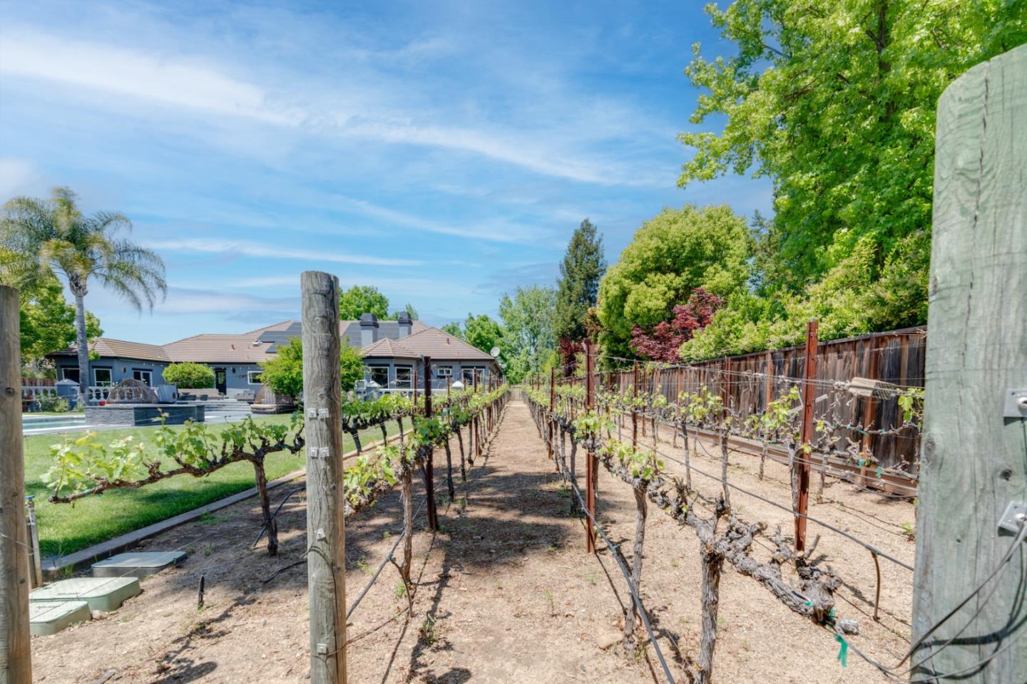 1940 Pear Drive Morgan Hill, CA 95037 - Photo 31 of 36 a view of a garden