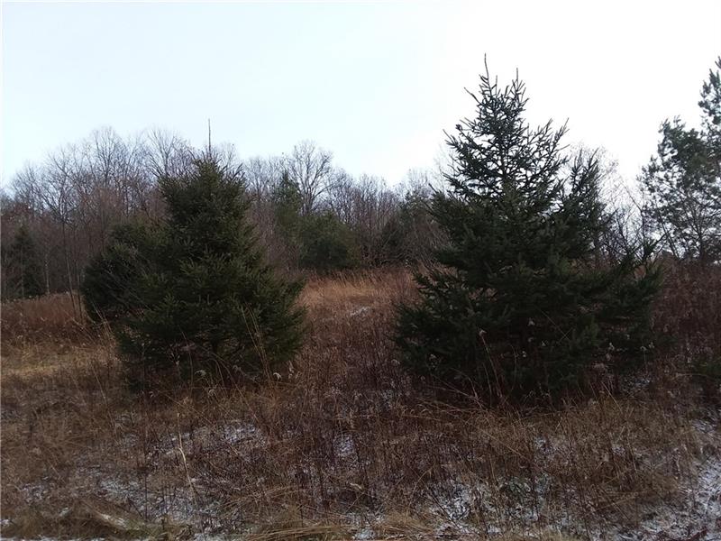 0 South Rimp Road Butler, PA 16002 - Photo 1 of 1