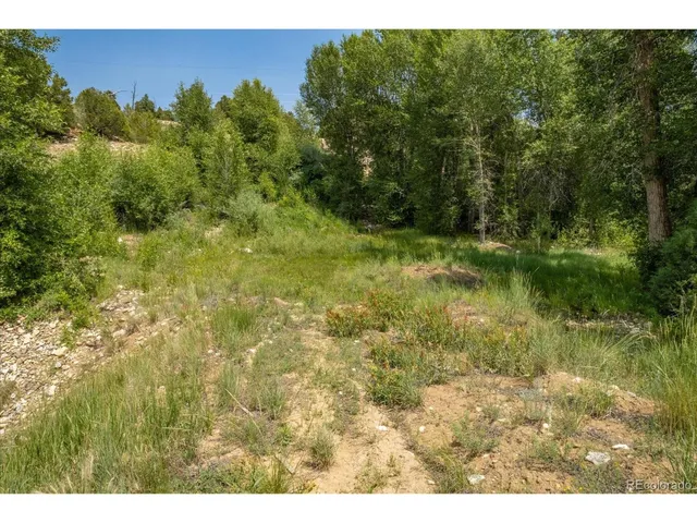 a view of a field of grass and trees
