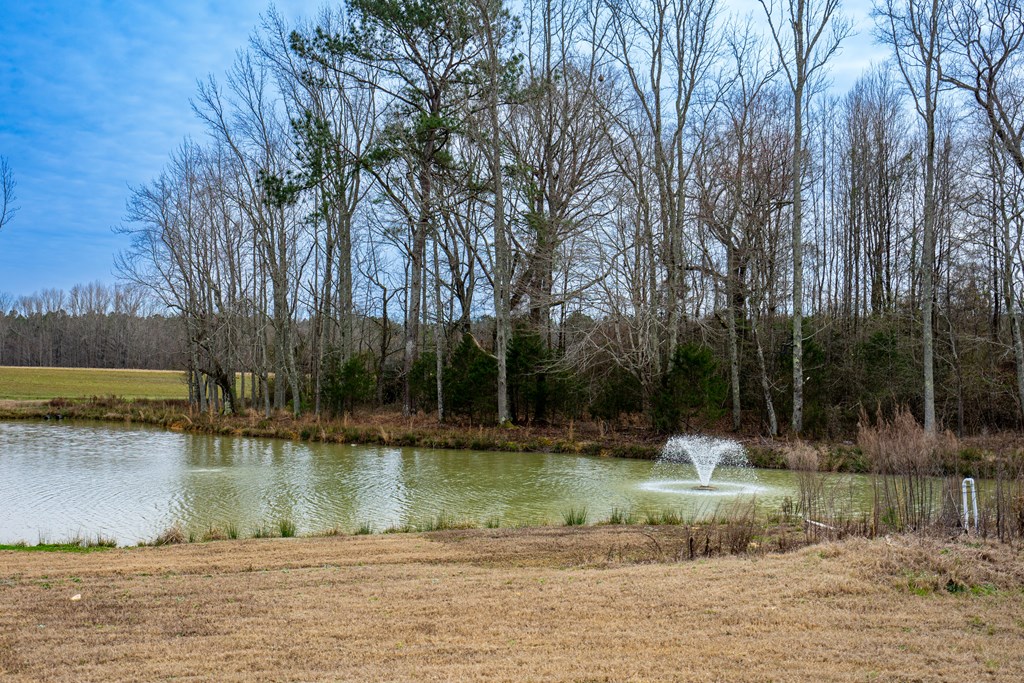 229 Trammel Road Pine Mountain, GA 31822 - Photo 30 of 86 Gallery Image 30