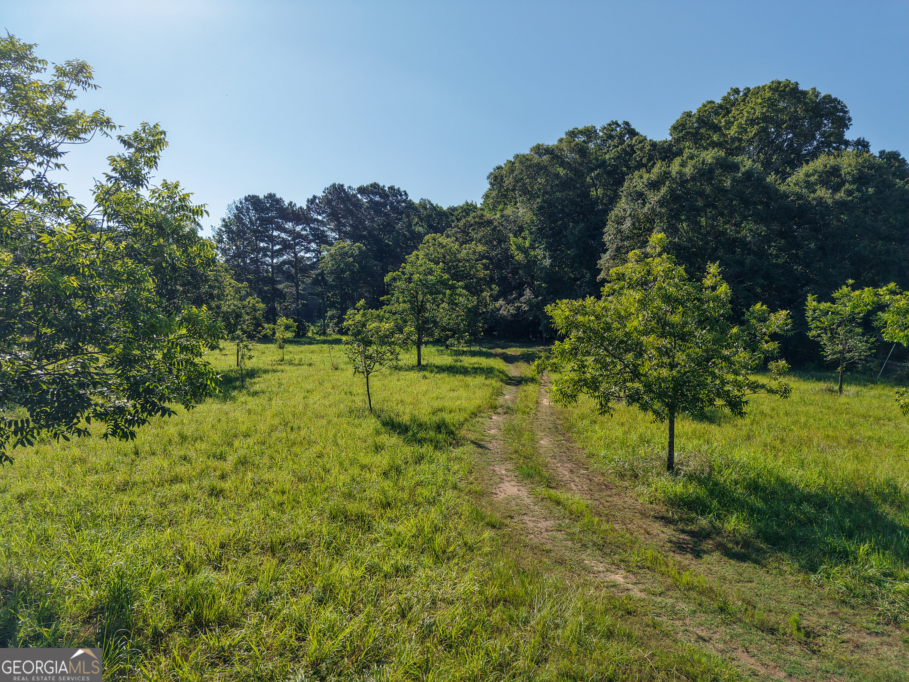 0 Hester Town Road Monroe, GA 30655 - Photo 17 of 45