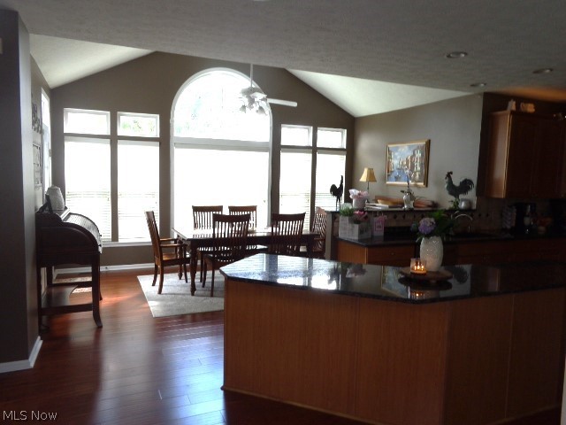 212 Sandstone Ridge Way Berea, OH 44017 - Photo 32 of 49 Large Windows