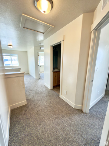 1823 South Longview Road Santaquin, UT 84655 - Photo 44 of 69 Carpeted hallway with painted walls and white baseboards