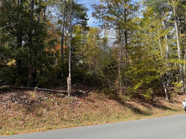 M2-l48b South Reynolds Road Winslow, ME 04901 - Photo 3 of 7 200' +/- of road frontage