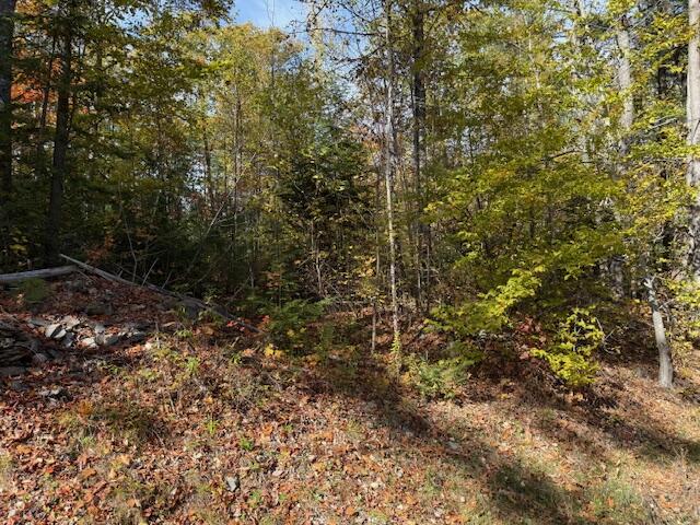 M2-l48b South Reynolds Road Winslow, ME 04901 - Photo 6 of 7 Ready for your ideas!