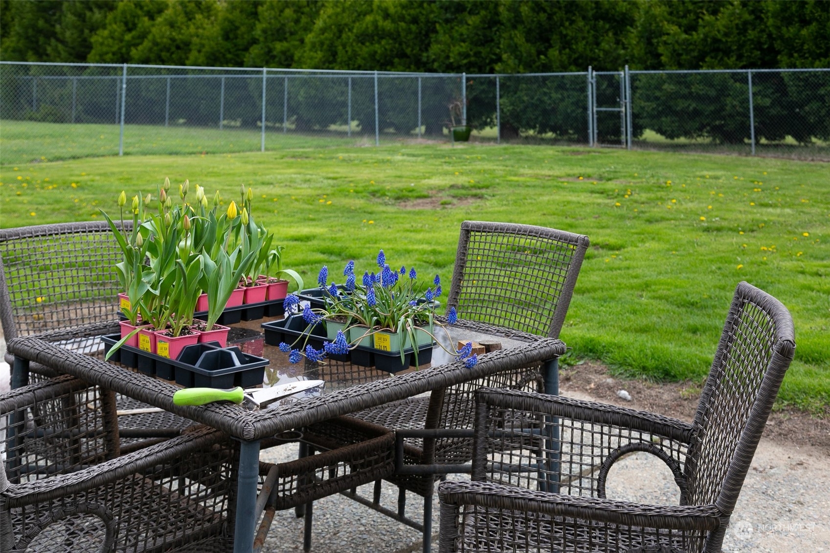 240 Osborn Road Port Angeles, WA 98362 - Photo 24 of 37 a view of a chairs and table in backyard of the house