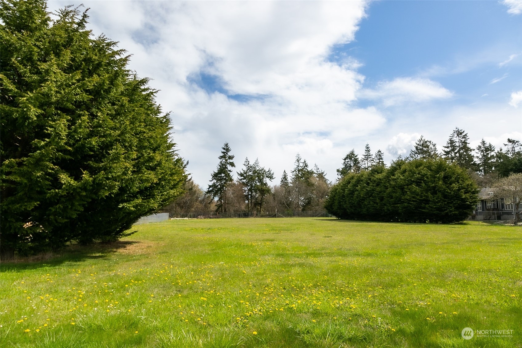 240 Osborn Road Port Angeles, WA 98362 - Photo 32 of 37 a view of a field with an trees in the background